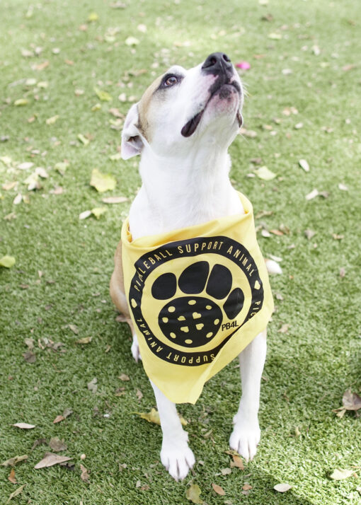 Pickleball Support Animal Bandana - Image 8