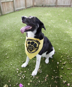 Pickleball Support Animal Bandana